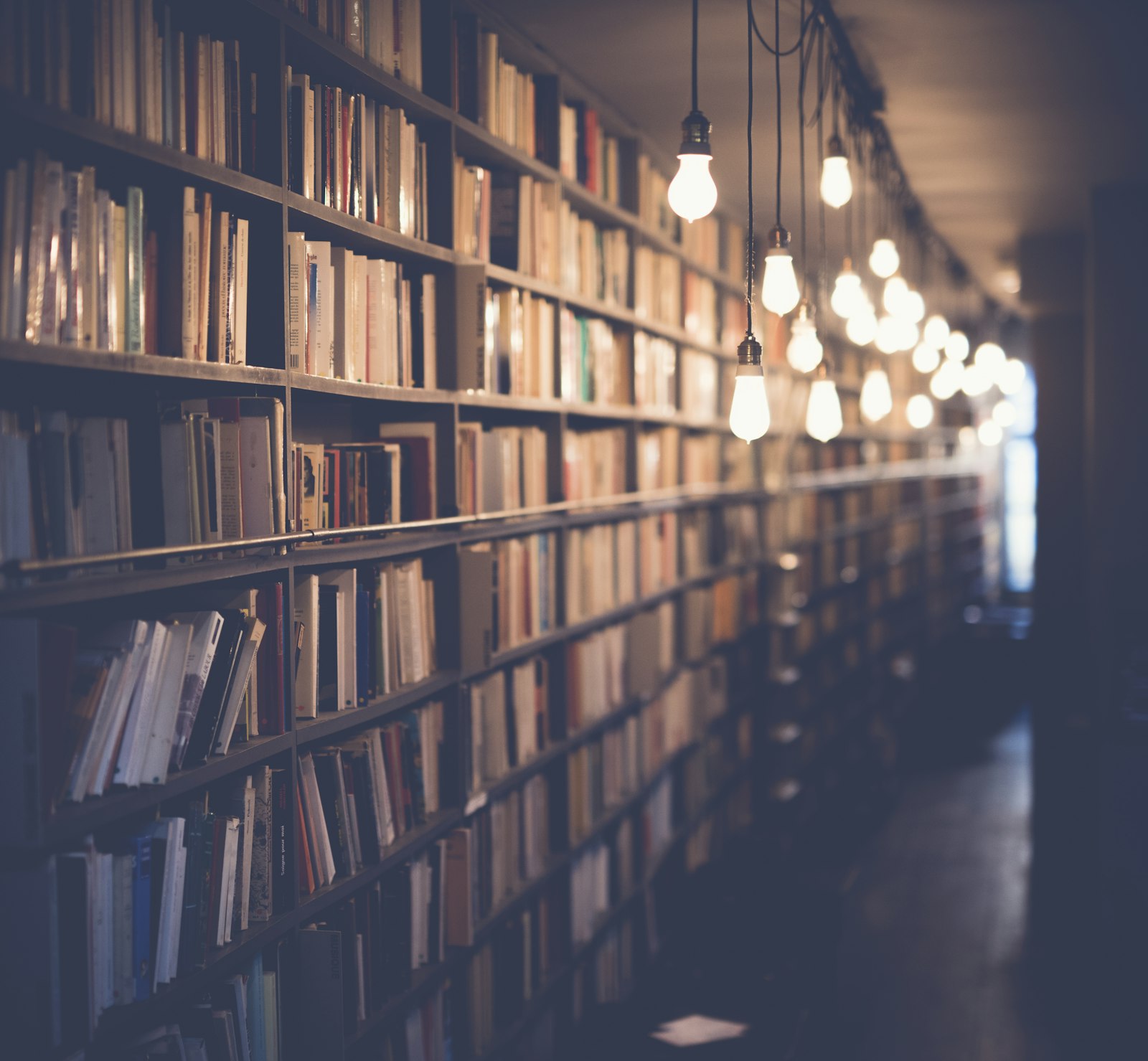 A warmly lit university library
